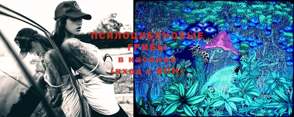 прущая мука Магас