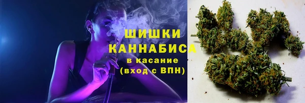 прущая мука Магас