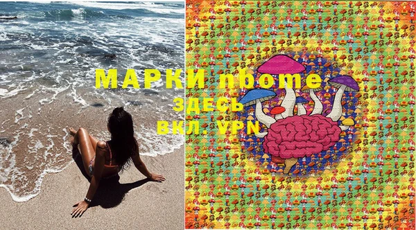 PSILOCYBIN Магадан