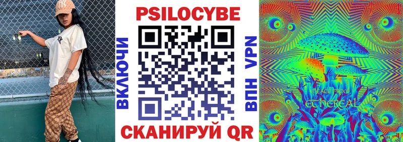 Псилоцибиновые грибы Psilocybe shop какой сайт Невельск мега ссылки